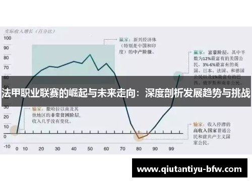 法甲职业联赛的崛起与未来走向：深度剖析发展趋势与挑战